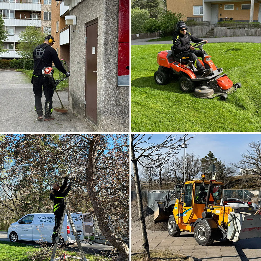 Ett collage av trädgårdsskötsel